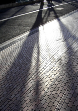 060529_long shadow.JPG